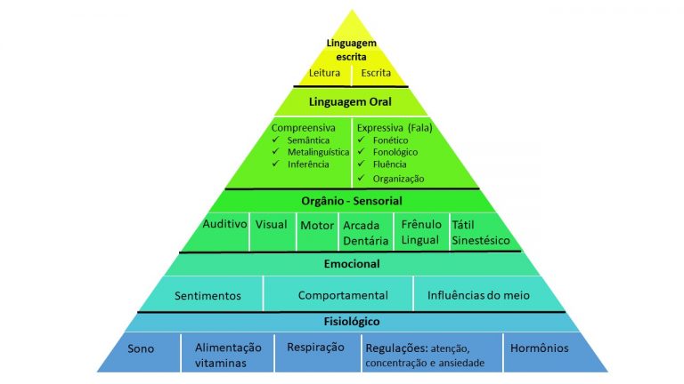 Pilares que sustentam a aprendizagem